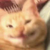 16581463605570.gif