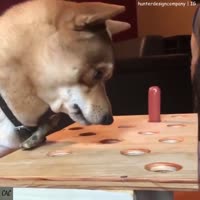 .mp4