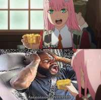 .jpg
