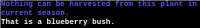 wtf.jpg