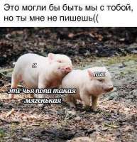 16636011994123.jpg