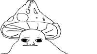 l1um7l6334j71.png