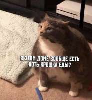1690065604650.jpg