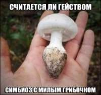 16916015500186.jpg