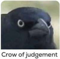judgementcrow.jpg