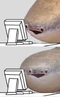 fishwtf.png