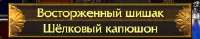 пое шелковый капюшон.png