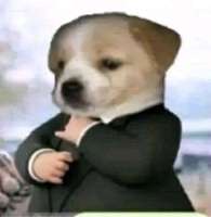 16871675996720.png
