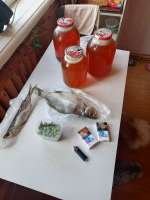 IMG20250611172634928.jpg