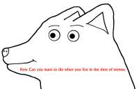0Q7h6f2mc2o.jpg