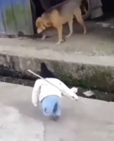 24172471289748127.mp4