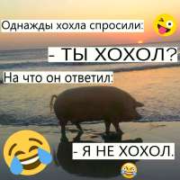 17051666322950.jpg
