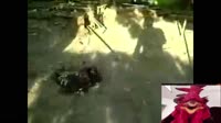 17063551183870.mp4