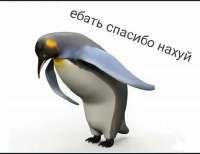 spasibo.jpg