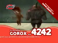 goroh.mp4