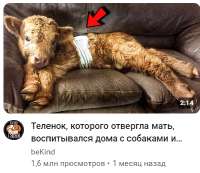 изображение2024-04-28195037367.png