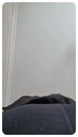 fz.mp4