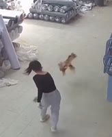1714382908776.mp4