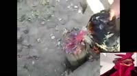 17063551183870.mp4
