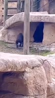 17075002781701.mp4