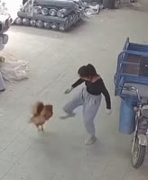 1714485526118.mp4