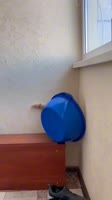 17035359140143.mp4