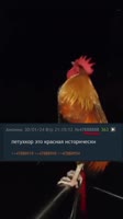petuhcore btfo.mp4