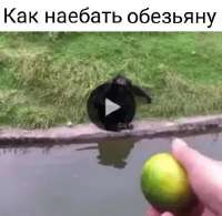1717878686148.png