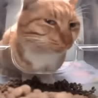 17179714975980.webm