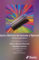 Крисс Вилсон не лысый, а бритый.mp4