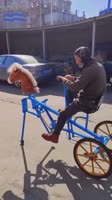 16836648923880.webm