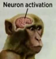 17181662220180.png