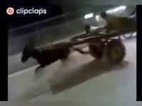 16897377078960.mp4