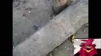 17063551183870.mp4