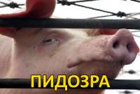 1721320876214.jpg