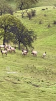 m2-res1920p.mp4