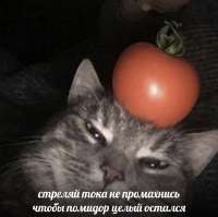 16461450390370.jpg