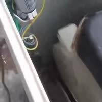 1675436448011.webm
