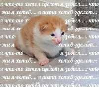 20250630003825.jpg
