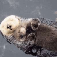 1756994053121.gif
