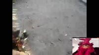 17063551183870.mp4
