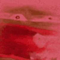QcSuakBCdhY.jpg