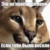 IMG20250515044516491.jpg