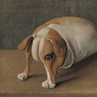 a-painting-by-hieronymus-bosch-a-sad-dog-v0-h8xct3nrgnma1.webp