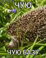 mp4 (18).mp4
