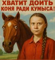 17514723986020.jpg