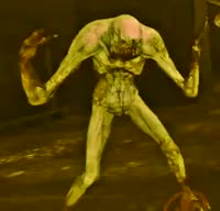 17472509095810.mp4