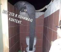 контент.png