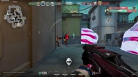 1733125668101.mp4