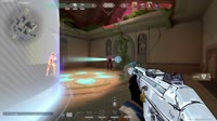 1733801887857.webm